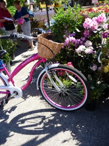 U & D nursery pink bicycle 5-4-13 8709657610_3c0d8c63f3_b